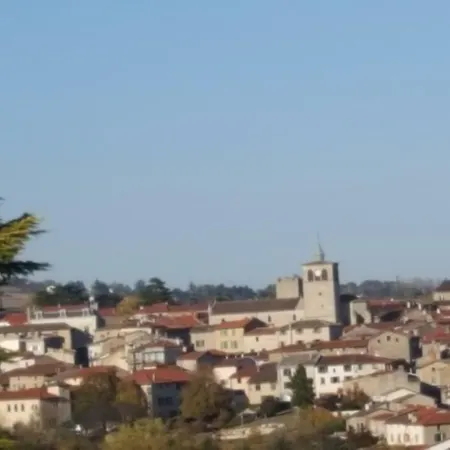 L'olivier * Mornant